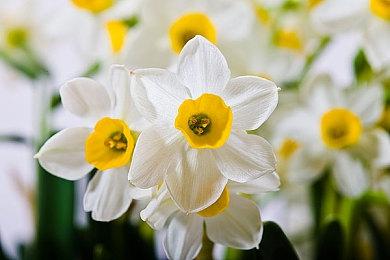 【第一视角】《永劫无间》职业联赛NBPL常规赛7月14日